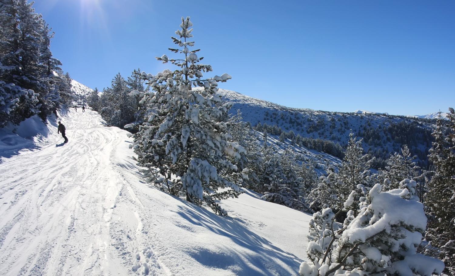 Charming One Bed Apartment 423 In Main Flora Building Borovets Dış mekan fotoğraf
