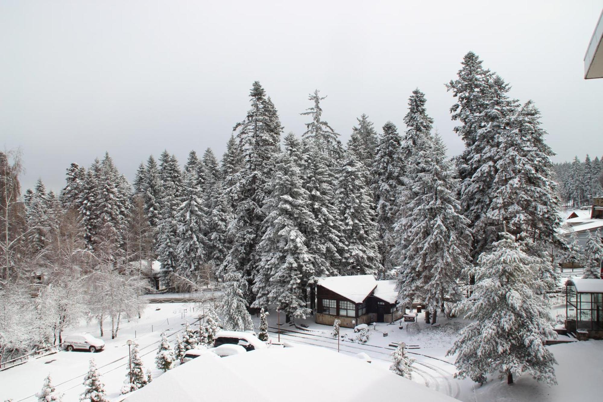 Charming One Bed Apartment 423 In Main Flora Building Borovets Dış mekan fotoğraf